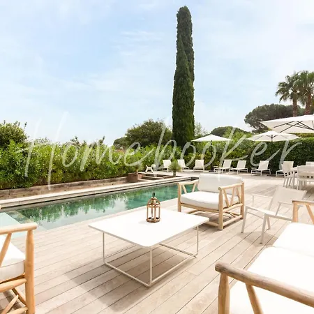 Colombe Saint-Tropez