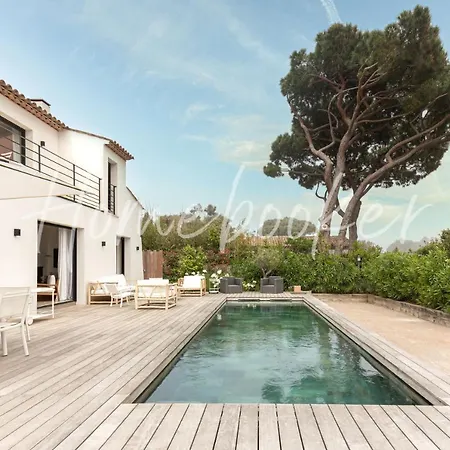 Colombe Saint-Tropez